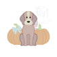 Sketch Girly Pup with Pumpkins Embroidery Design