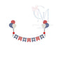 Patriotic Banner with Stars Embroidery Design