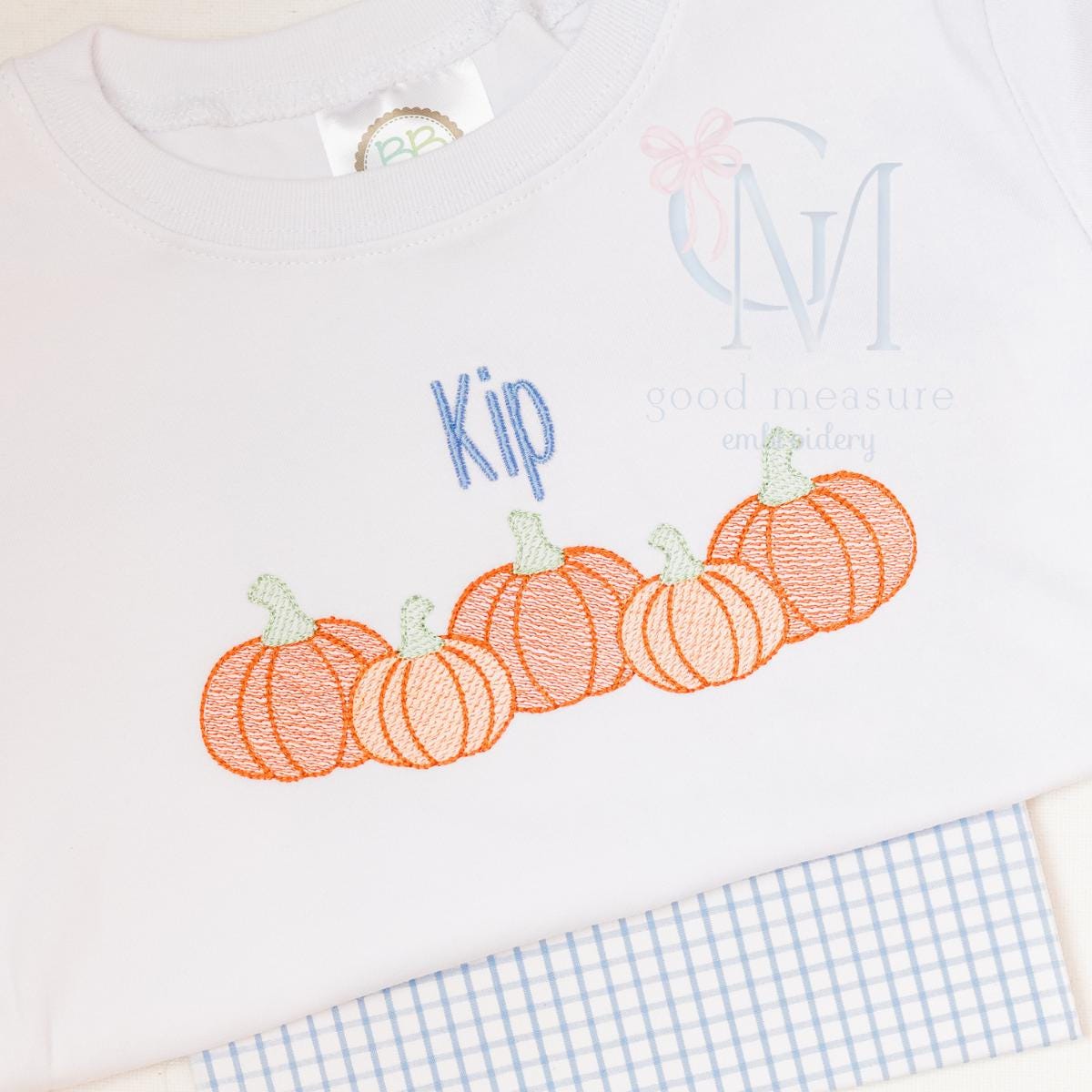 Sketch Pumpkin Row Embroidery Design
